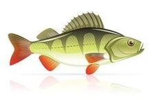 морски дарове за панкреатит